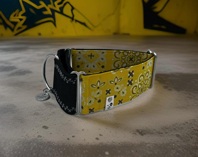 Paisley Yellow x Black Denim | Martingale Collar Greyhound - Whippet - Italian greyhound