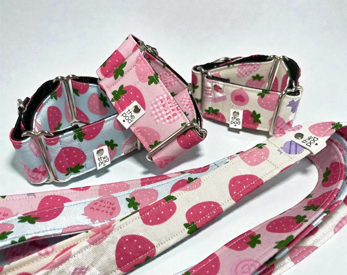 Matching Leash: Handmade Nylon Webbing, Durable Hardware