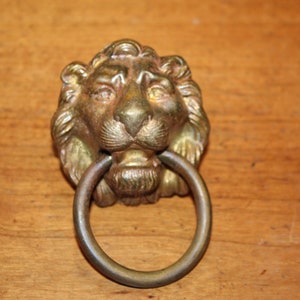 May include: A gold lion head door pull with a ring handle. The lion's face is detailed with a mane, whiskers, and a closed mouth.