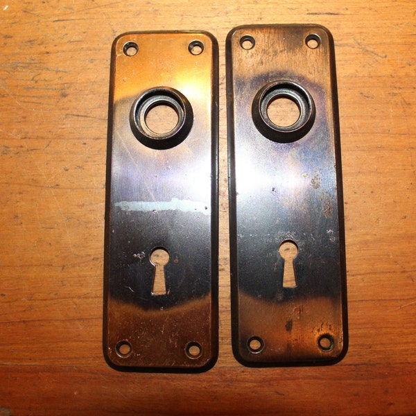 Pair of Antique Japanned Copper Plated Wrought Steel Craftsman's Escutcheon S-82