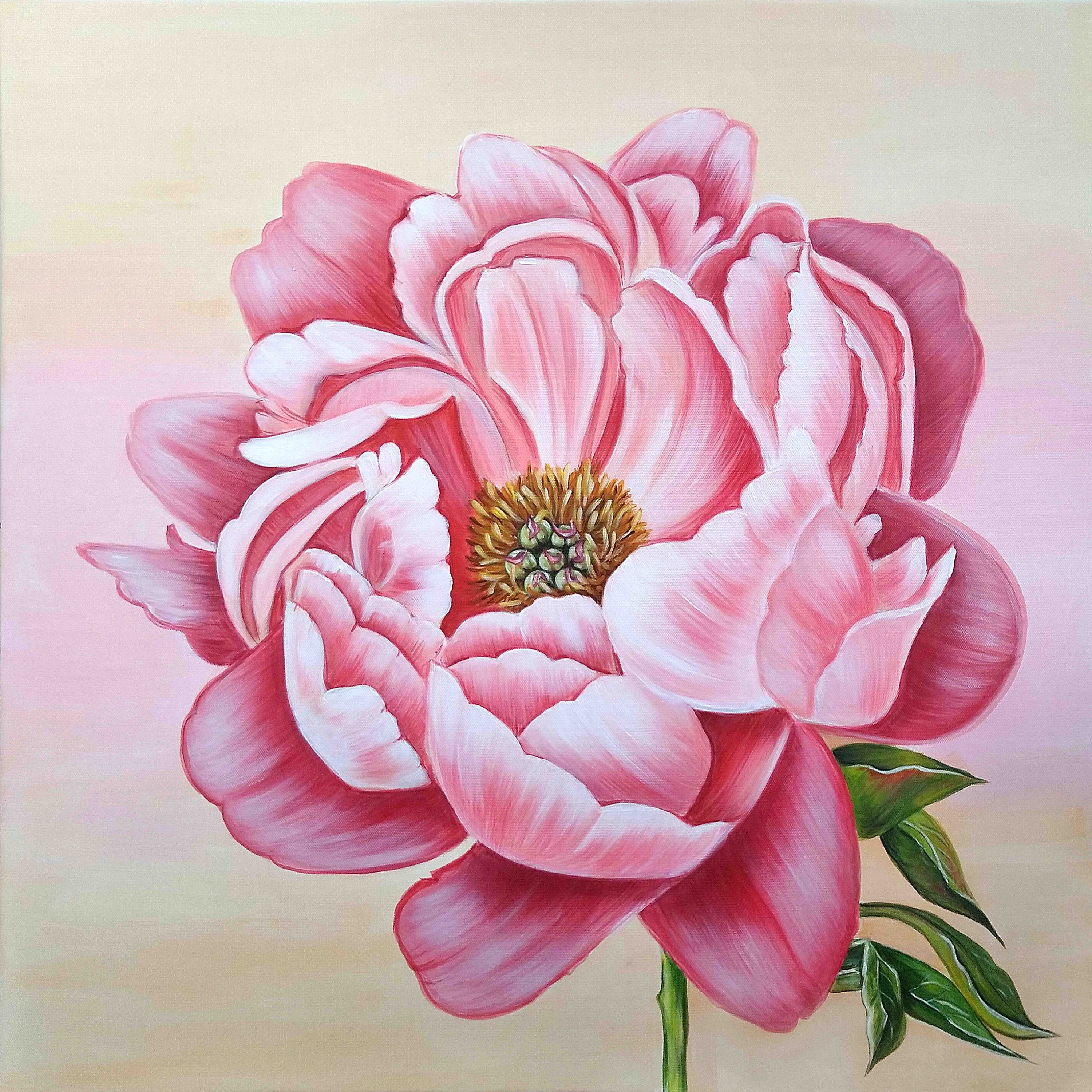 Large Original Painting Peony Oil Painting on Canvas Oil Etsy