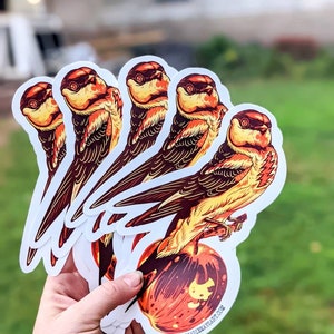 May include: Five colorful bird stickers with a red, orange, and yellow design. The birds are perched on a red, orange, and yellow fruit. The stickers are on a white background. The text on the sticker reads "www.saddiemayart.com".