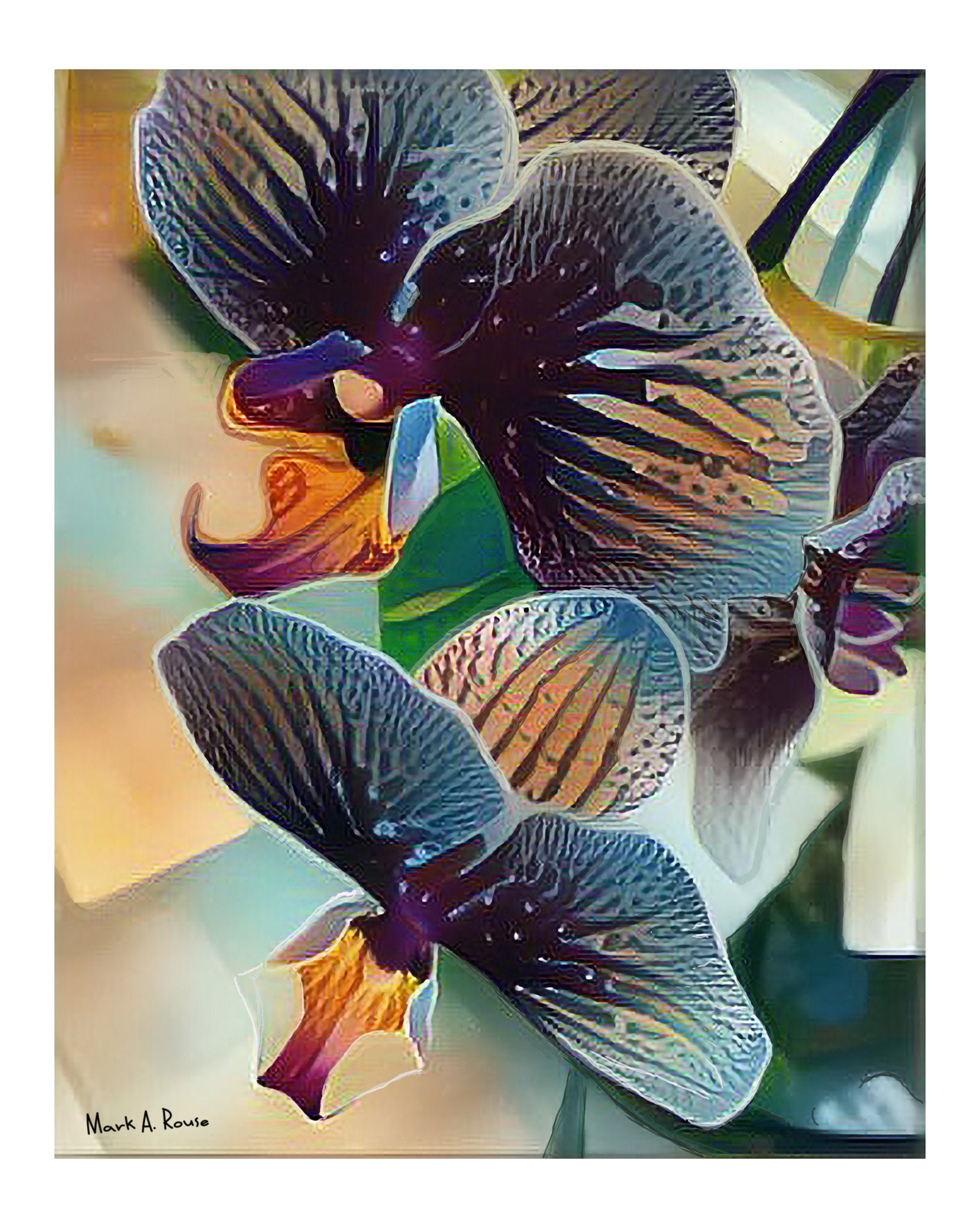 Orchids - Etsy
