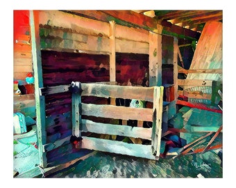 The Barn - Stalls