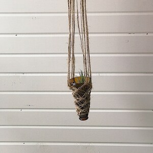 Air Plant Pod Hanger Made From Macrame Jute and Upcycled Beer Bottle