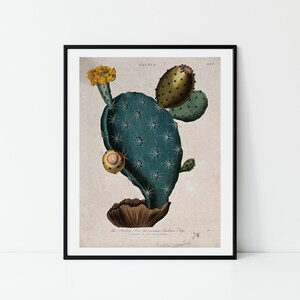 Prickly Pear | Kaktus Print | Südwest | Retro Kaktus | Kaktus Illustration | Prickly Pear Illustration | Western | Cowgirl | Wüste Print