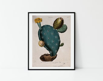 Prickly Pear / Cactus Print / Southwest / Retro Cactus / Cactus Illustration / Prickly Pear Illustration / Western / Cowgirl / Desert Print