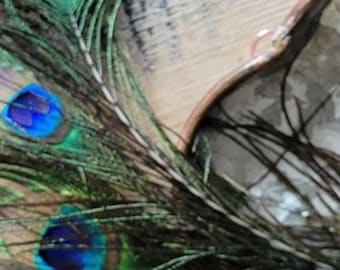 Tin Heart and Copper Accent with Peacock Feathers