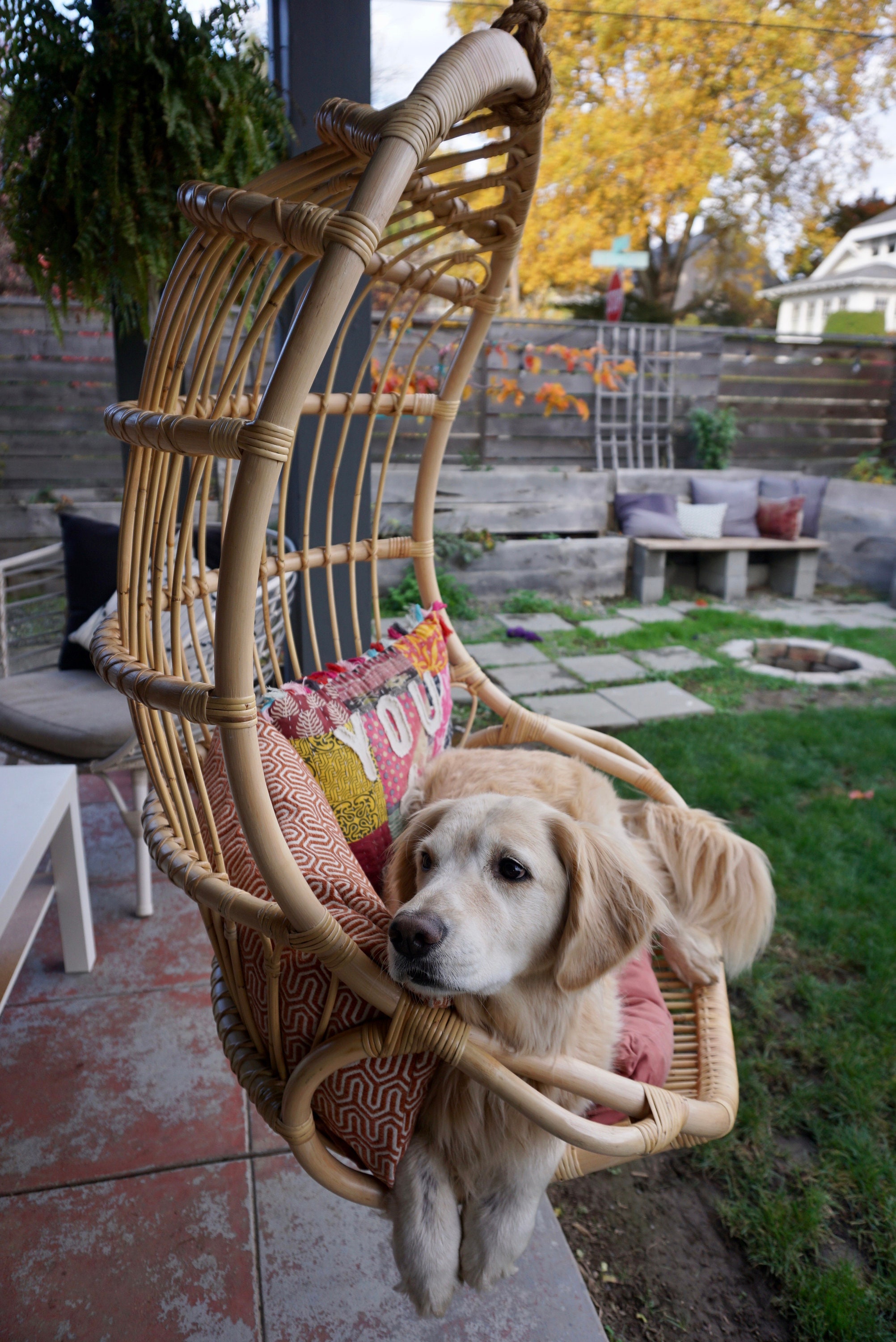 Schuster wicker hanging egg double swing chair with stand new arrivals