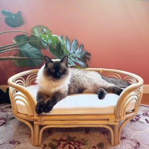 Sunrise Rattan Pet Bed
