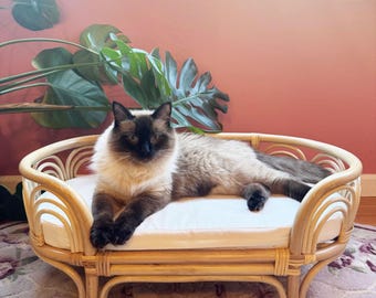 May include: A light brown rattan pet bed with a white cushion. A fluffy cat with dark brown markings is resting on the bed. The bed is on a floral patterned rug, with a pink wall in the background.