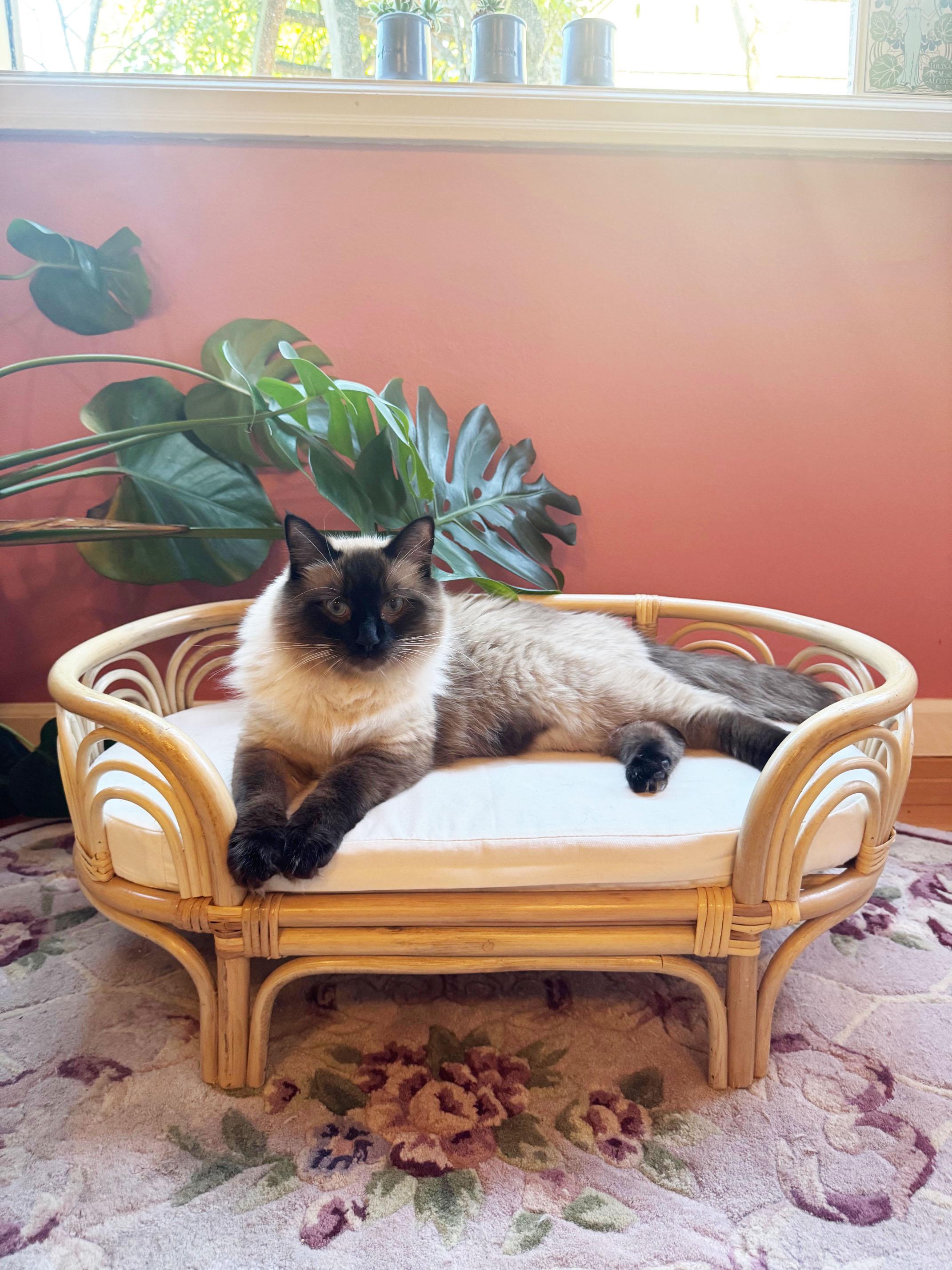Sunrise Rattan Pet Bed