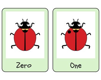 Counting Ladybug Flashcards