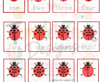 Ladybug Counting Flashcards & Tracing Cards | Numbers 0–10 Printable | Preschool Math Activity