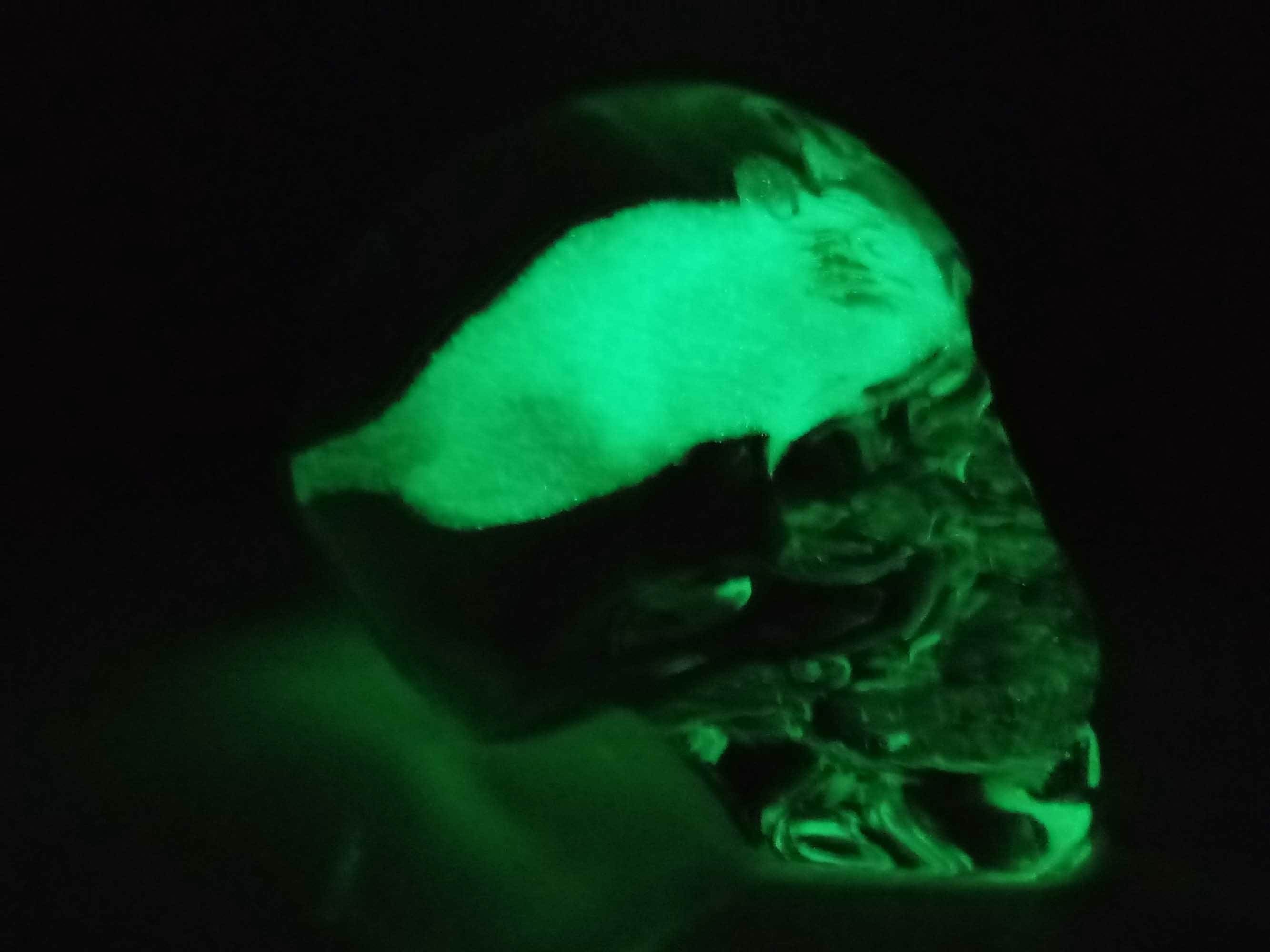Skull with Glow In The Dark Rat