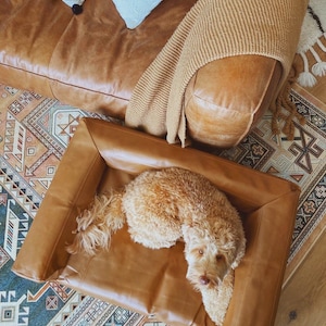 May include: A light brown leather dog bed with a light brown dog laying in it. The dog bed is on a patterned rug with a brown leather couch in the background.