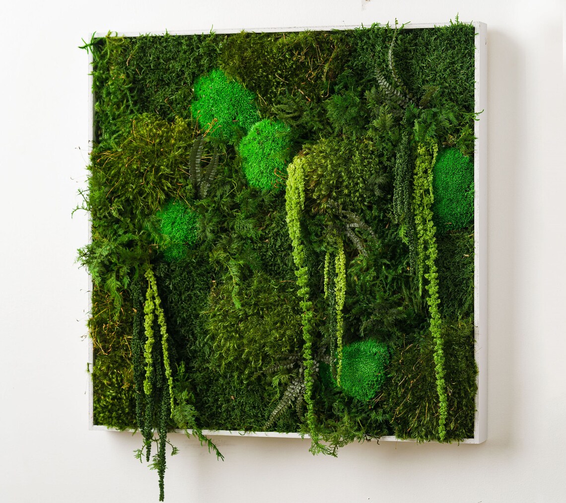 Preserved Moss Wall Hanging Etsy