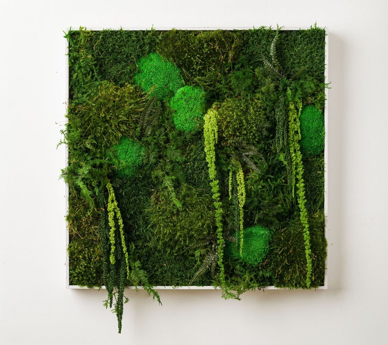 Preserved Moss Wall Hanging Etsy