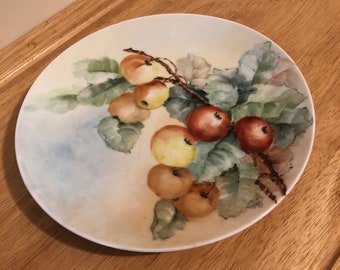 The Geo H. Bowman Co. Cleveland , O., "Dayton", Bavaria Collector Plate.  Orangy, red, yellow, Fruit