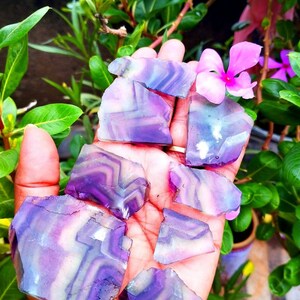 Puede incluir: Siete rodajas pulidas de cristal de fluorita con patrones de bandas distintos en tonos morado intenso, lavanda y blanco transl&uacute;cido. Cada pieza muestra una superficie lisa y plana con capas geom&eacute;tricas naturales y formas variadas.