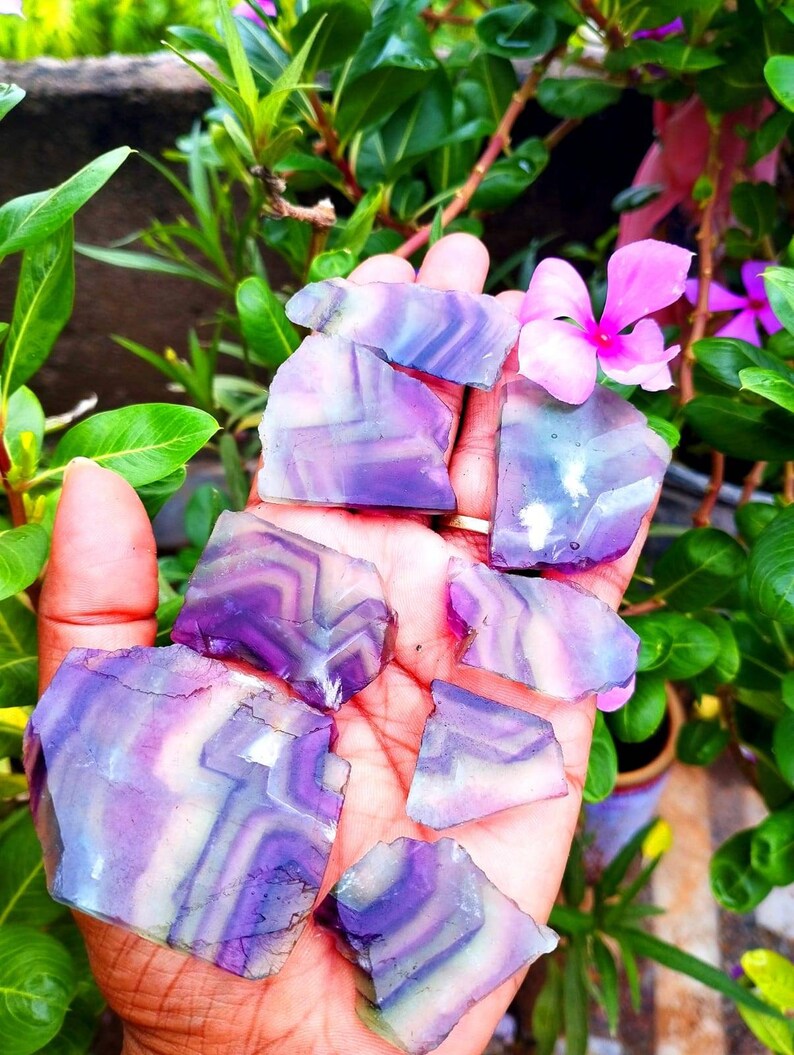 Puede incluir: Siete rodajas pulidas de cristal de fluorita con patrones de bandas distintos en tonos morado intenso, lavanda y blanco transl&uacute;cido. Cada pieza muestra una superficie lisa y plana con capas geom&eacute;tricas naturales y formas variadas.