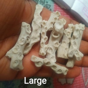 Puede incluir: Una colecci&oacute;n de fragmentos de coral ramificados de color blanco roto con superficies porosas y texturizadas y cavidades de p&oacute;lipos visibles. Las piezas son de forma y tama&ntilde;o irregulares, mostrando formaciones org&aacute;nicas naturales. La palabra Large est&aacute; impresa en texto blanco.