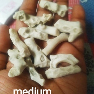 Puede incluir: Una colecci&oacute;n de peque&ntilde;os fragmentos de coral de color blanco roto, texturizados, con formas irregulares similares a ramas y superficies porosas. La palabra medium est&aacute; impresa en blanco en la parte inferior, indicando el tama&ntilde;o de las piezas.