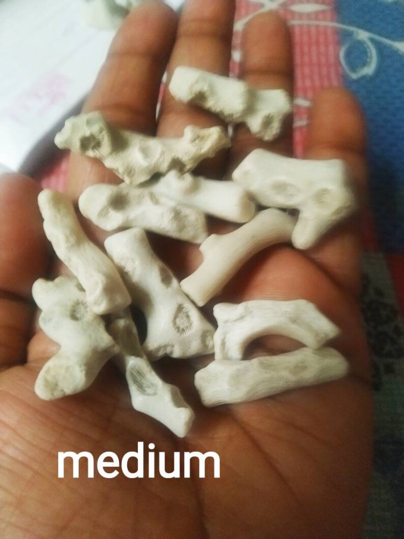 Puede incluir: Una colecci&oacute;n de peque&ntilde;os fragmentos de coral de color blanco roto, texturizados, con formas irregulares similares a ramas y superficies porosas. La palabra medium est&aacute; impresa en blanco en la parte inferior, indicando el tama&ntilde;o de las piezas.