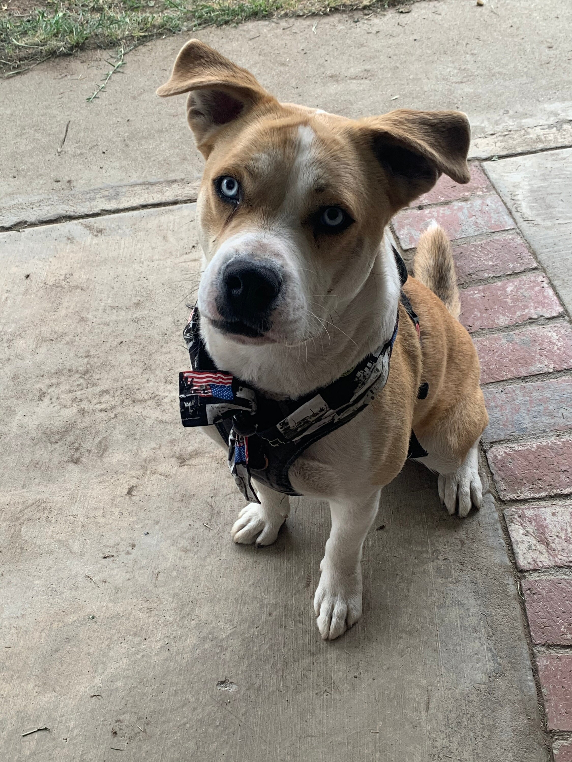 Super Heroes Set 1 Cooling Neck Wrap/bandana/headband for Athletes