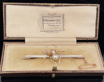 Broche con barra de araña de platino y oro de 15 quilates con diamantes, perlas y rubíes antiguos. Inglés alrededor de 1900-1920. Victoriano tardío/eduardiano.