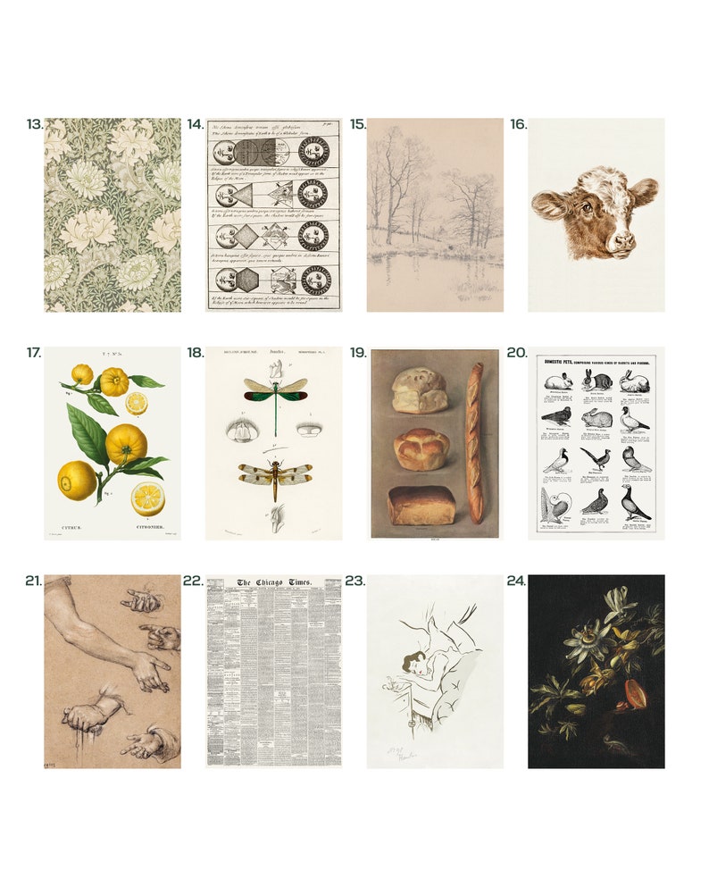Vintage Cottagecore & Dark Prints Set of 24 Nature and Dark Etsy