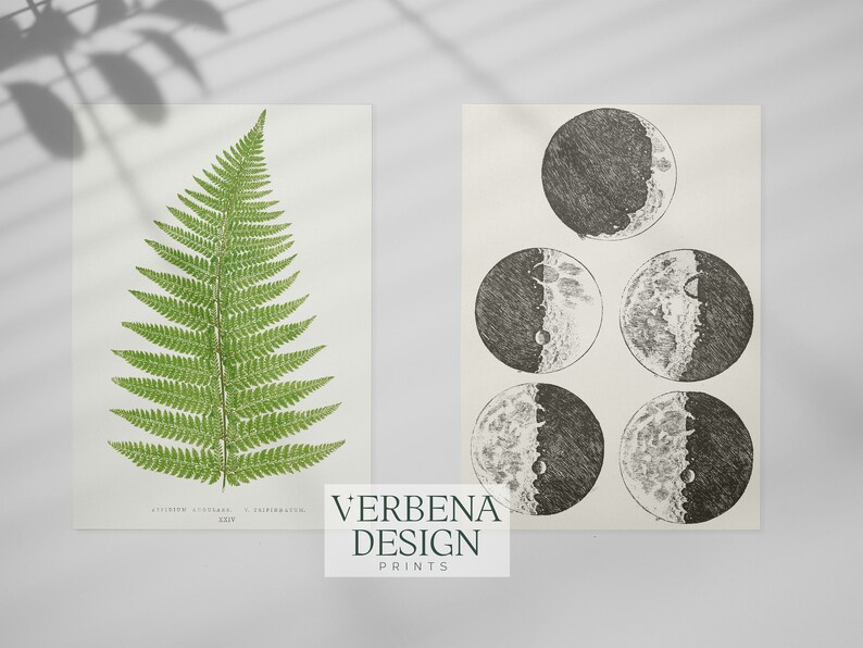 Vintage Cottagecore & Dark Prints Set of 24 Nature and Dark Etsy