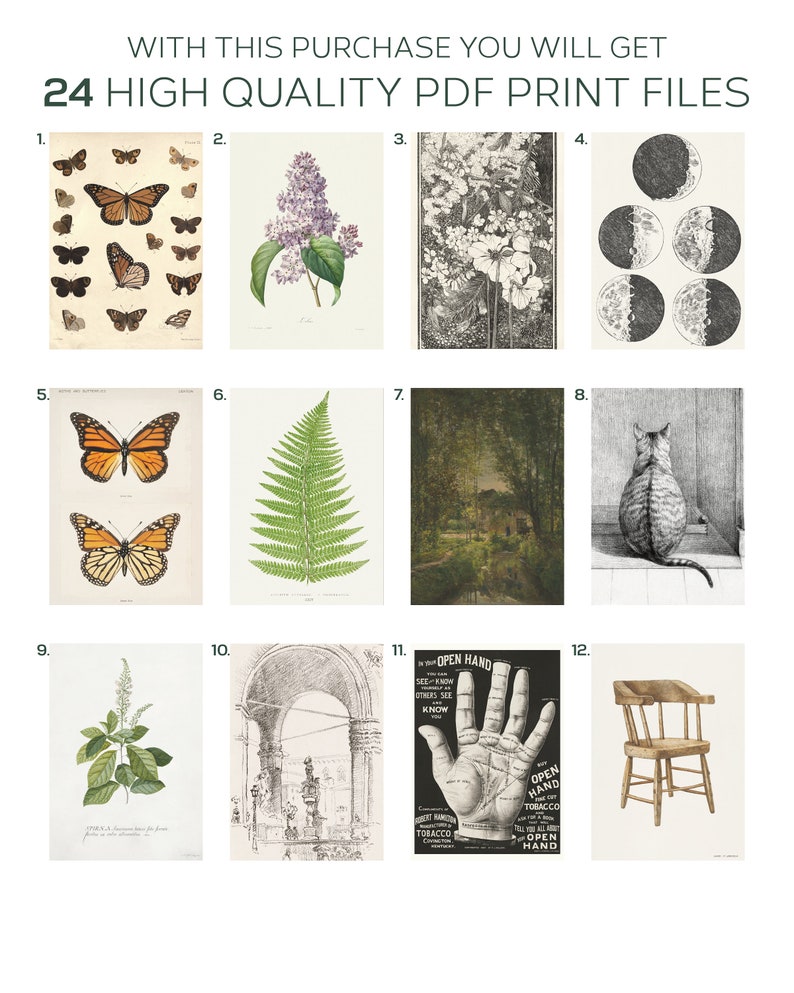Vintage Cottagecore & Dark Prints Set of 24 Nature and Dark Etsy