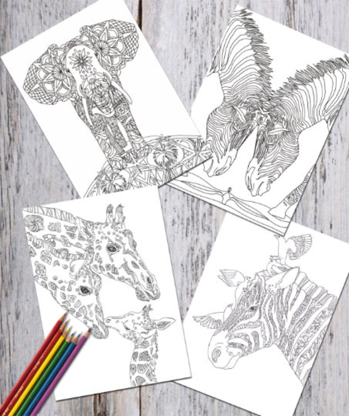 Safari Animals Adult Coloring Book PDF 18 Digital | Etsy