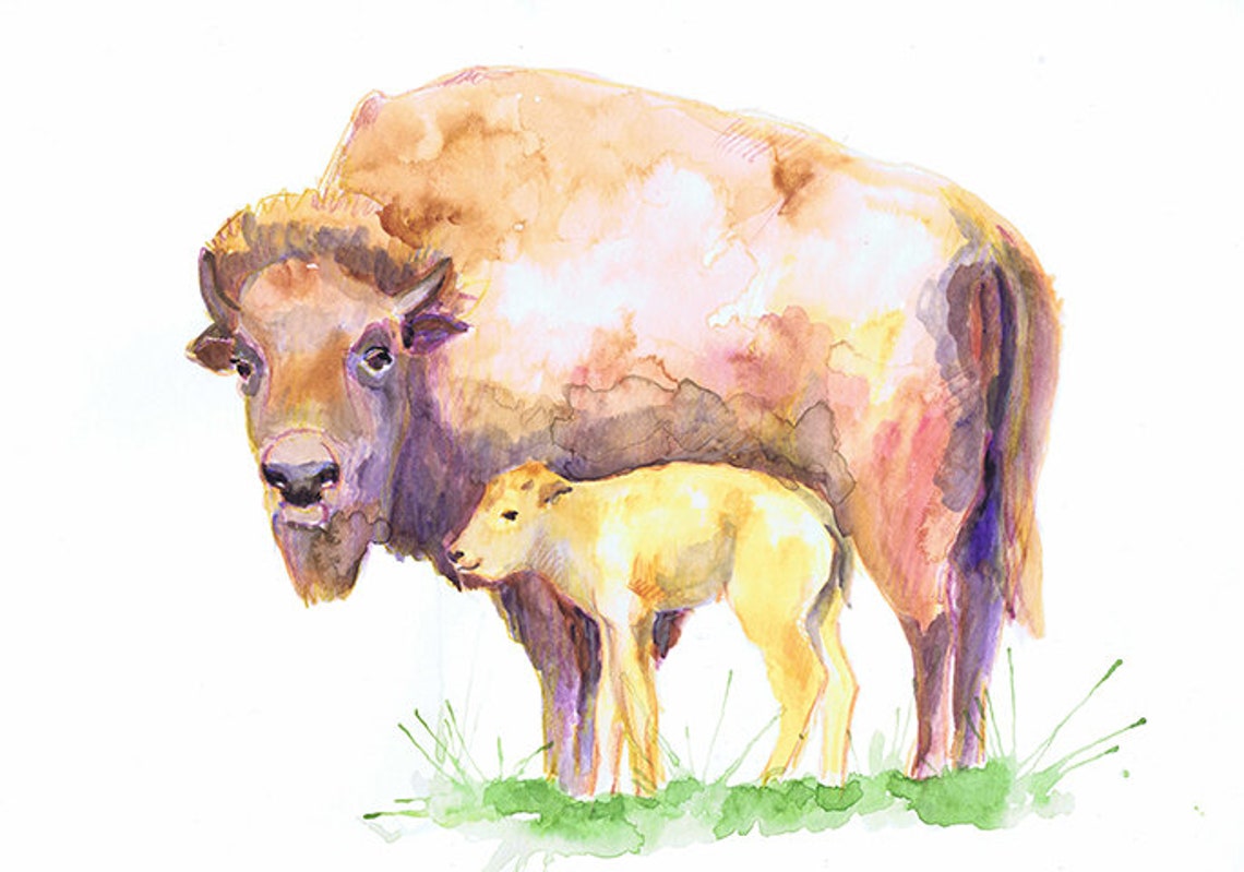Bison Baby Original Watercolor Painting Buffalo Animal Art for Etsy