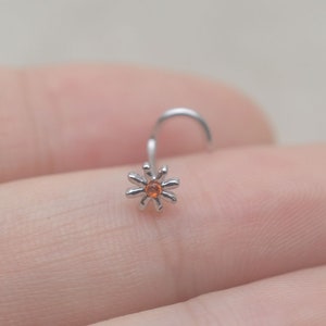 Cute little shop nose rings