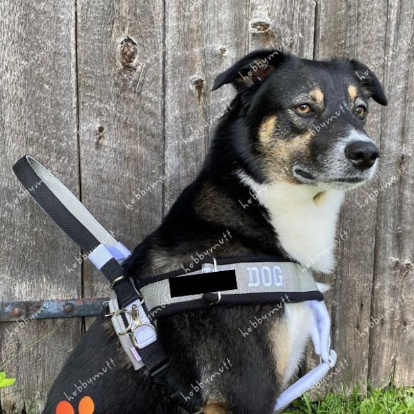 Working Dog Gear Etsy