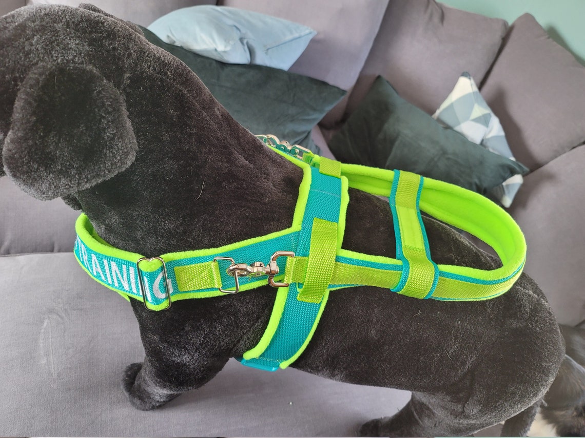 Light Mobility Harness YFront Service Dog Harness Service Etsy