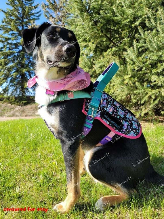Custom therapy dog vest sales