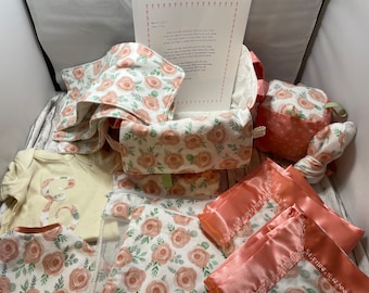 Personalized Baby gift basket, embroidered blanket, 14 pieces, shower gift, boy, girl,