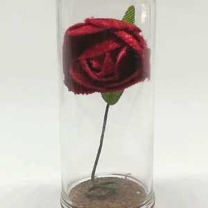 I love so much, Tiny mesage in a bottle, Miniatures, Valentine card, Gift for her/himm, Girlfriend gift,Mother&#39;s day, Father&#39;s day