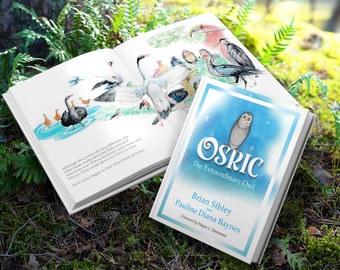 Osric The Extraordinary Owl by Brian Sibley and Pauline Baynes  SIGNED LIMITED EDITION