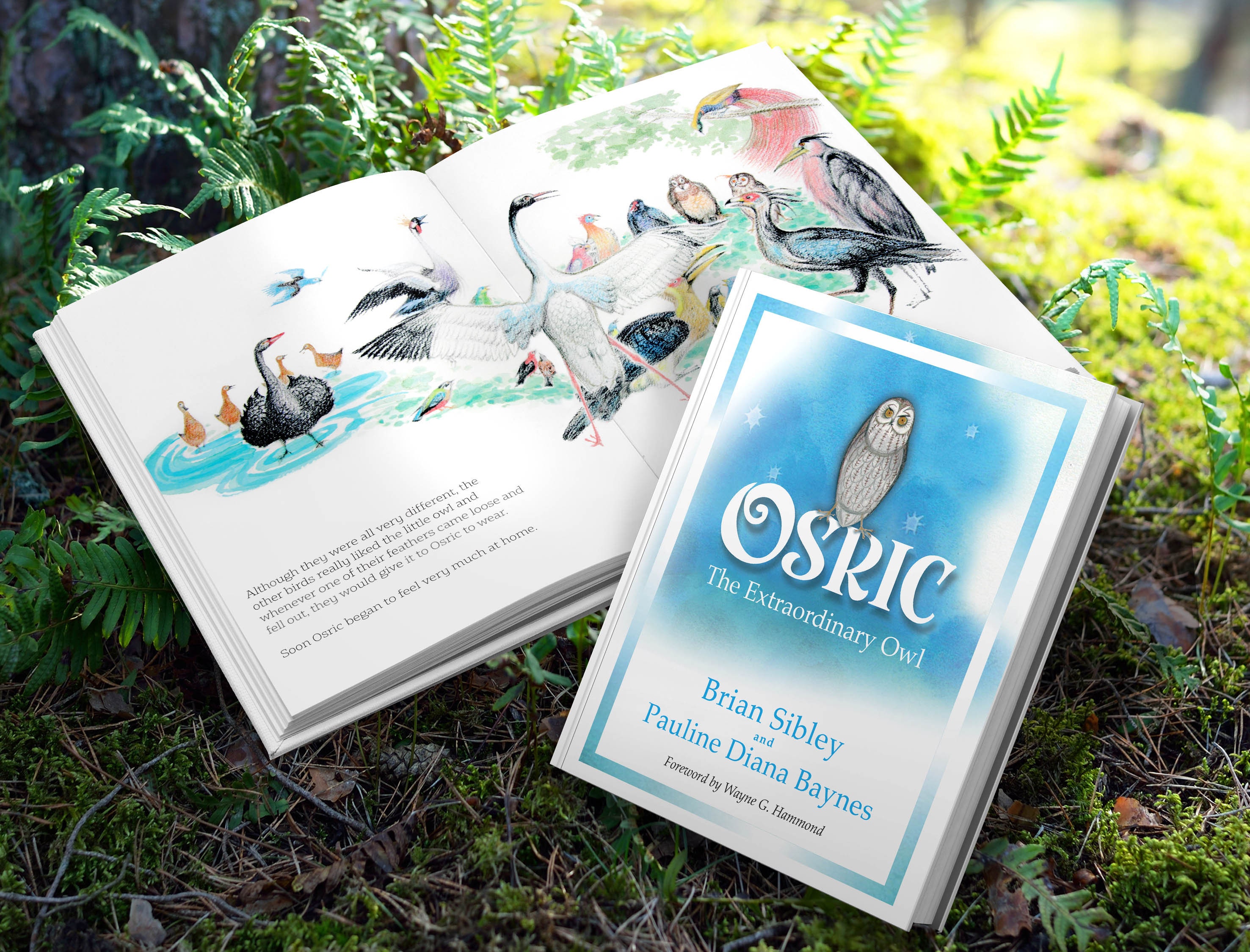 Osric The Extraordinary Owl by Brian Sibley and Pauline Baynes  SIGNED LIMITED EDITION