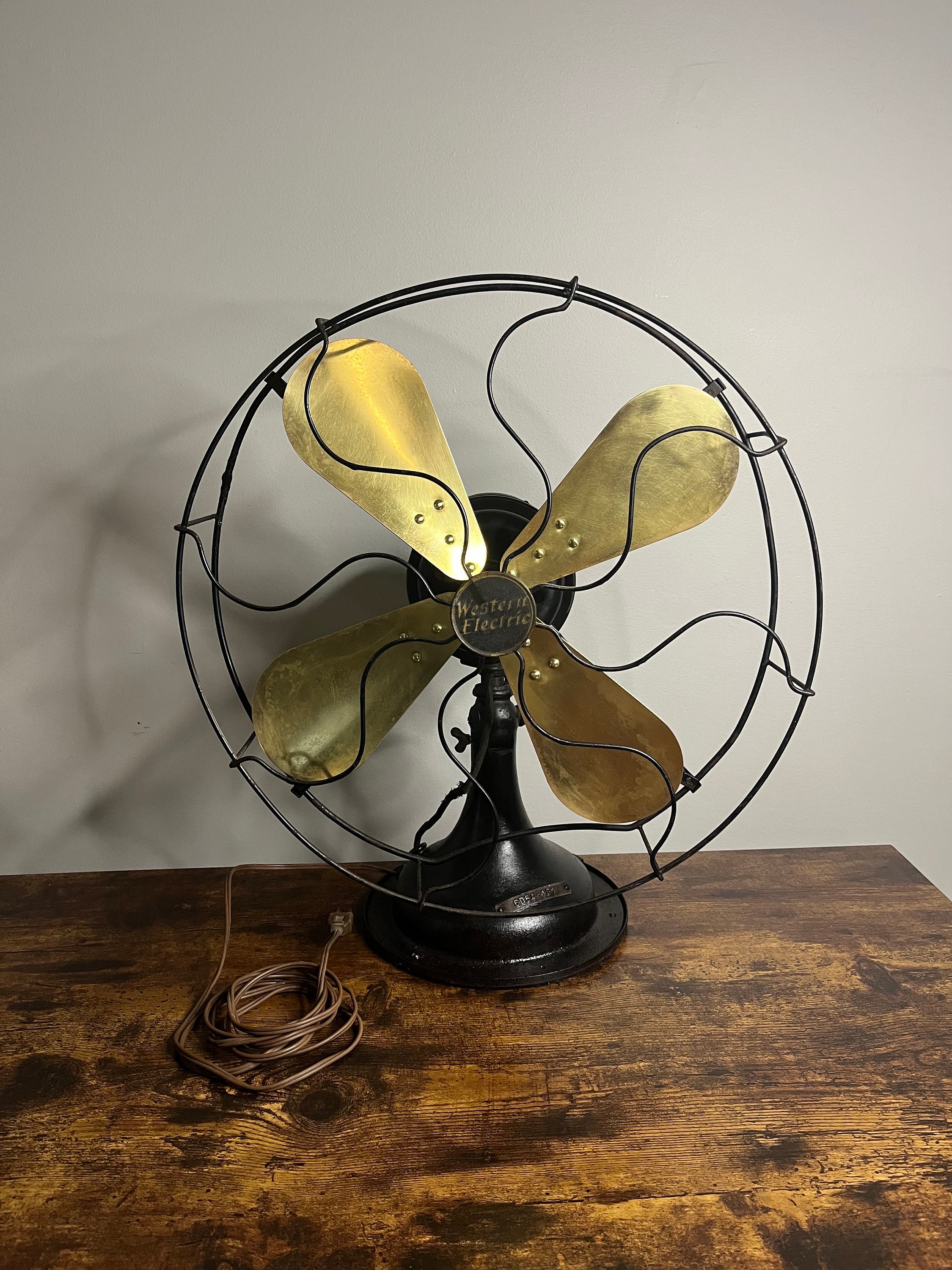 Fan 1920s