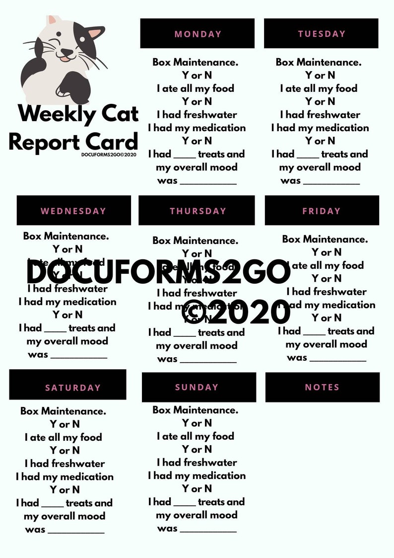 Custom Cat Report Card buy 1 get 1 pet sitting form FREE | Etsy