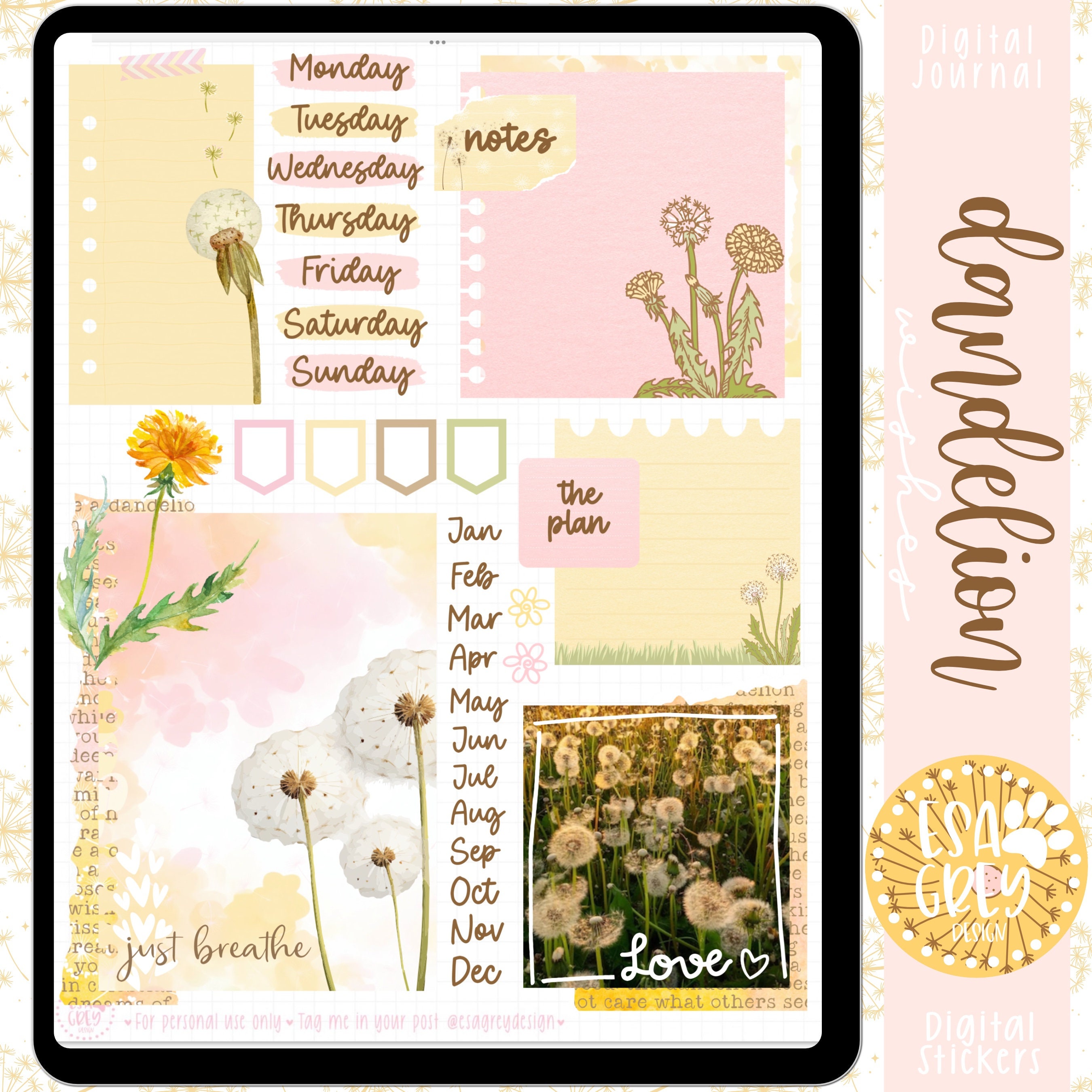 Dandelion Sticky Notes Cozy Dandelion Wishes Digital Sticker Kit | Goodnotes Planner (PNG ...