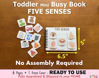 Five Senses, Toddler Mini Busy Book, Fully Assembled, Learning Binder, Quiet Book, Homeschool, Travel Activity Book, Preschool, PreK
