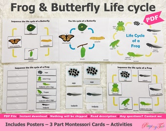 Frog and Butterfly Lifecycle Activities Printable for Kids, Montessori 3 Part Cards, Educational Printable, Homeschool Resource