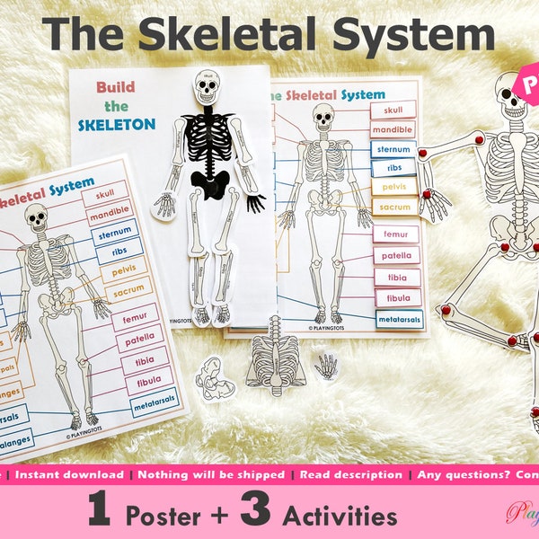 The Skeletal System Activity Printable, Human Anatomy Activity, Skeletal System Poster, Busy Books, Learning Binder, Homeschool Science