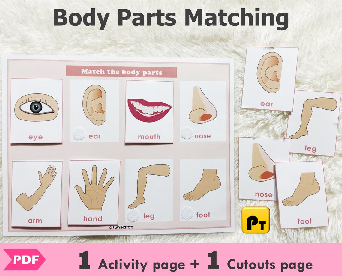 Body Parts Matching Activity Printable for Toddlers Busy | Etsy